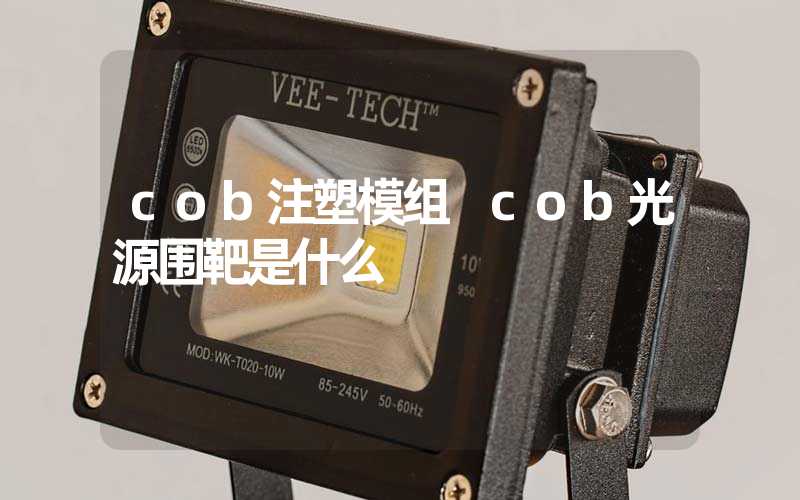 cob注塑模组 cob光源围靶是什么